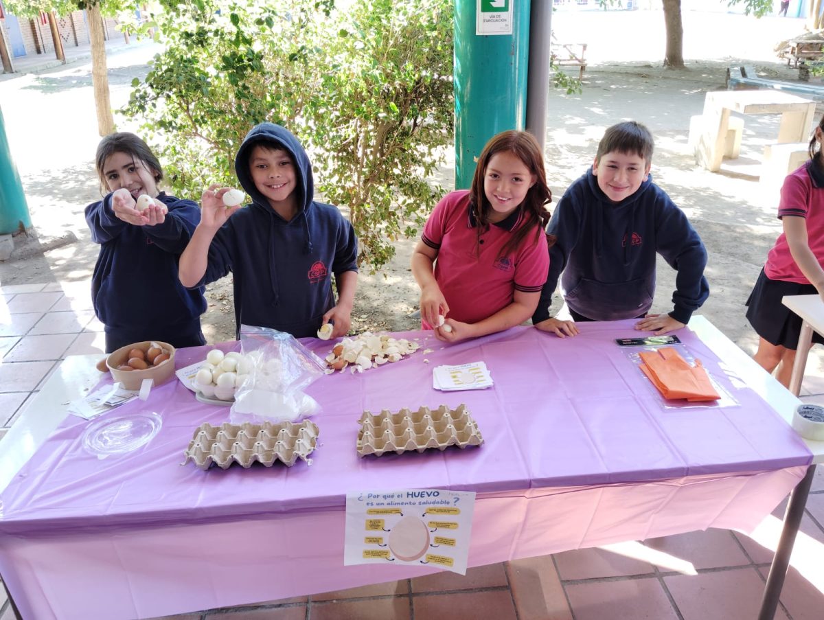 Regalo para 1° y 2° básico: Terceros básicos preparan feria saludable para sus compañeros más pequeños