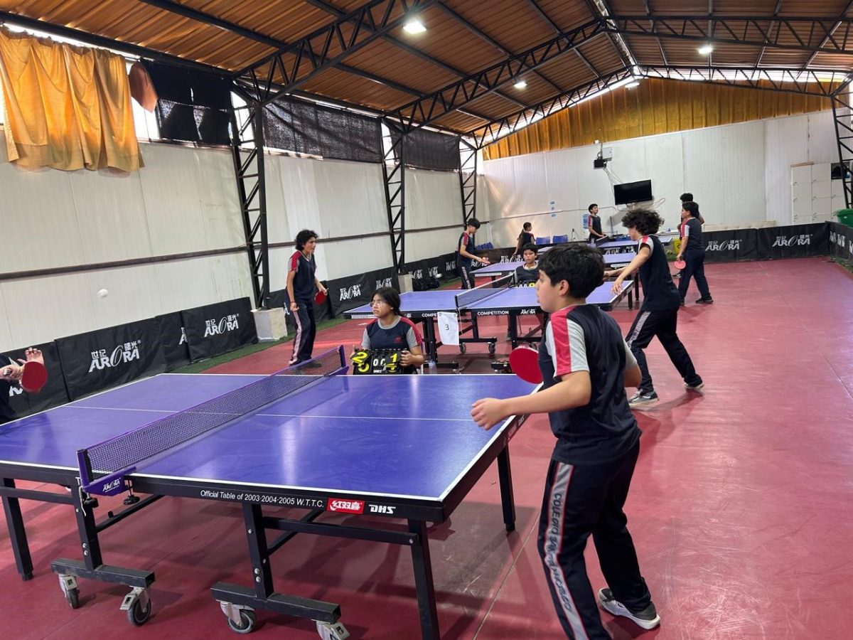 Fin de semana deportivo lleno de energía y grandes logros