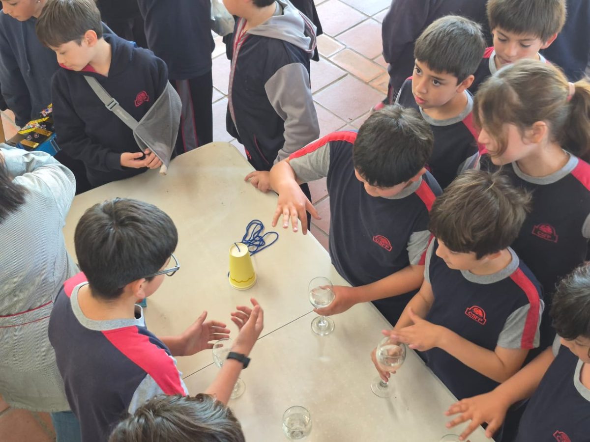 Feria Científica 2025