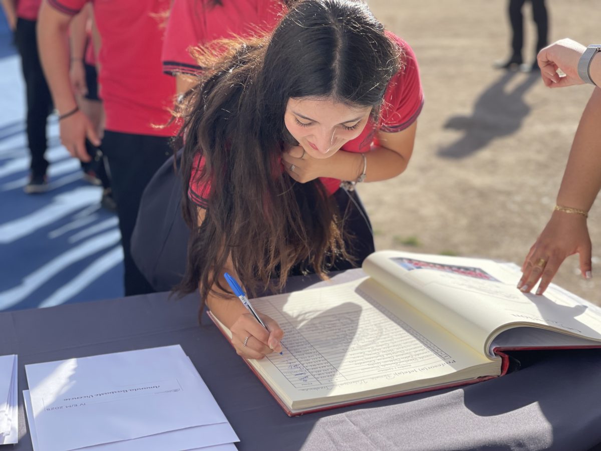 Licenciatura de IV medio