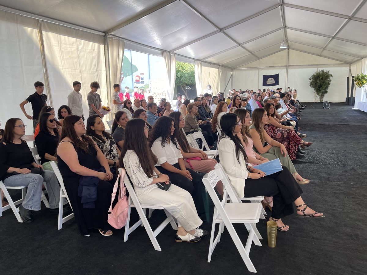 Licenciatura de IV medio