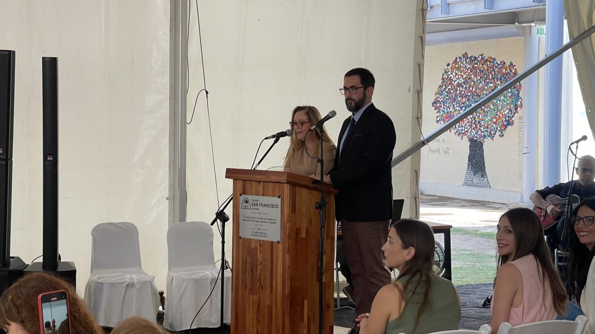 Licenciatura de IV medio