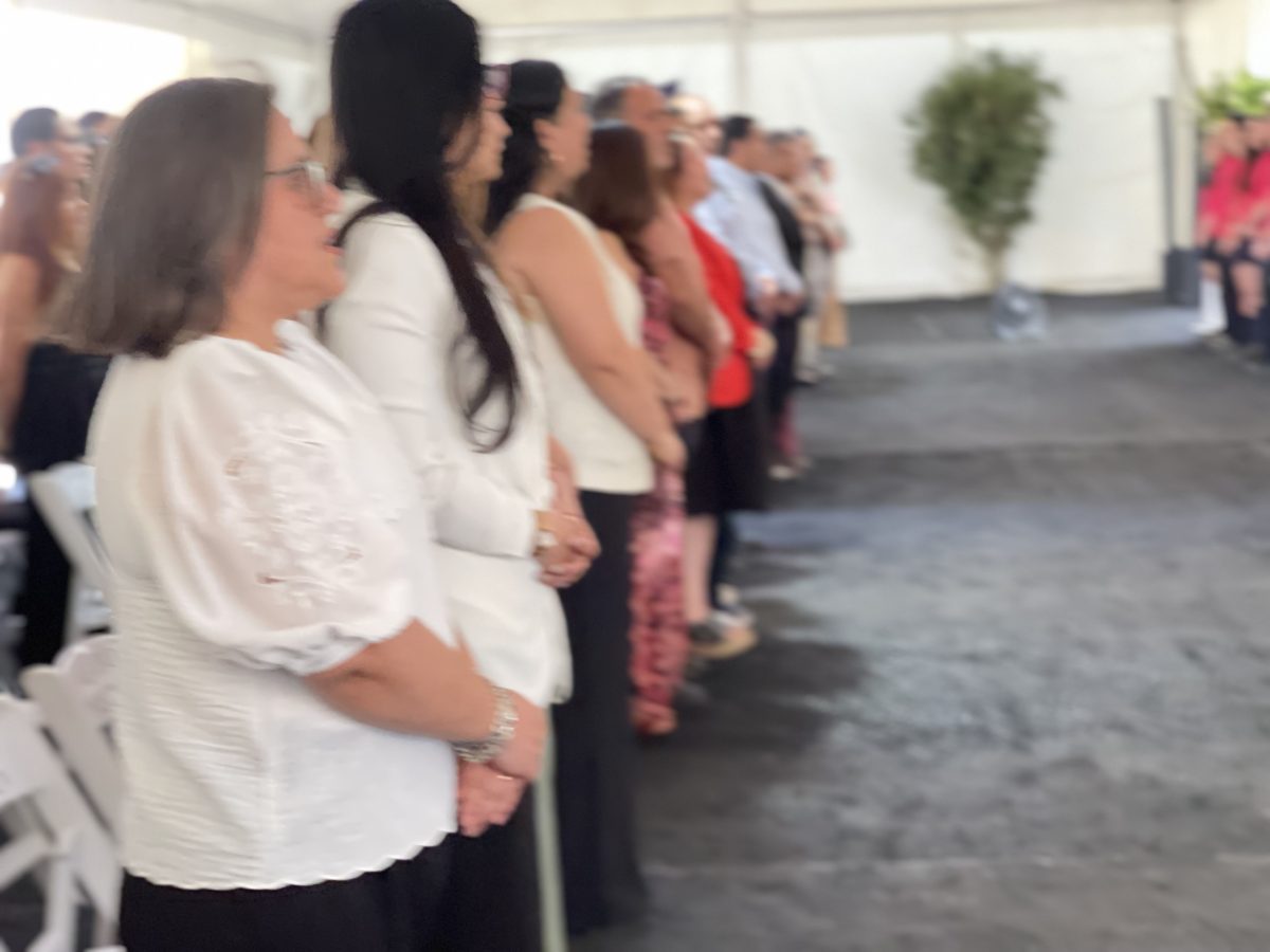 Licenciatura de IV medio