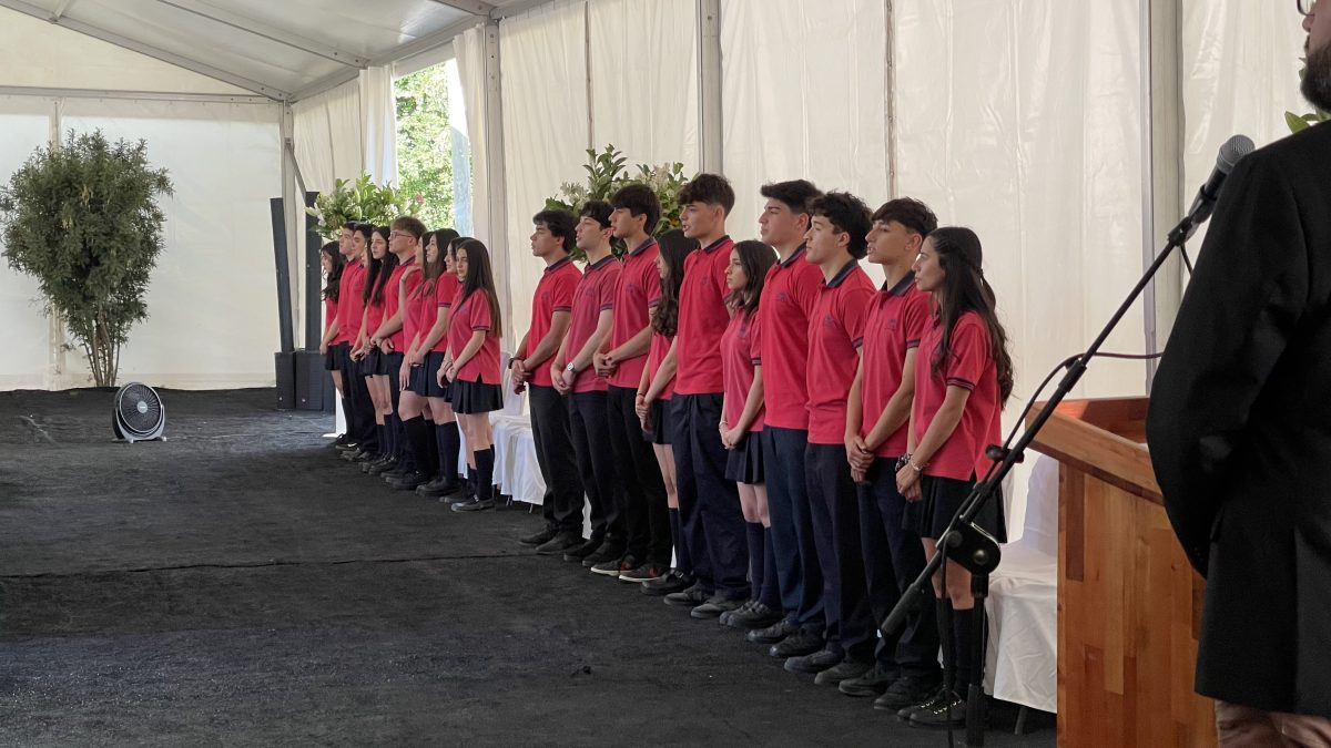 Licenciatura de IV medio