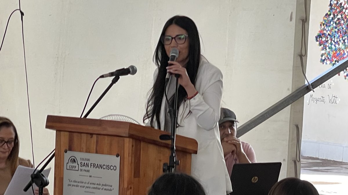 Licenciatura de IV medio