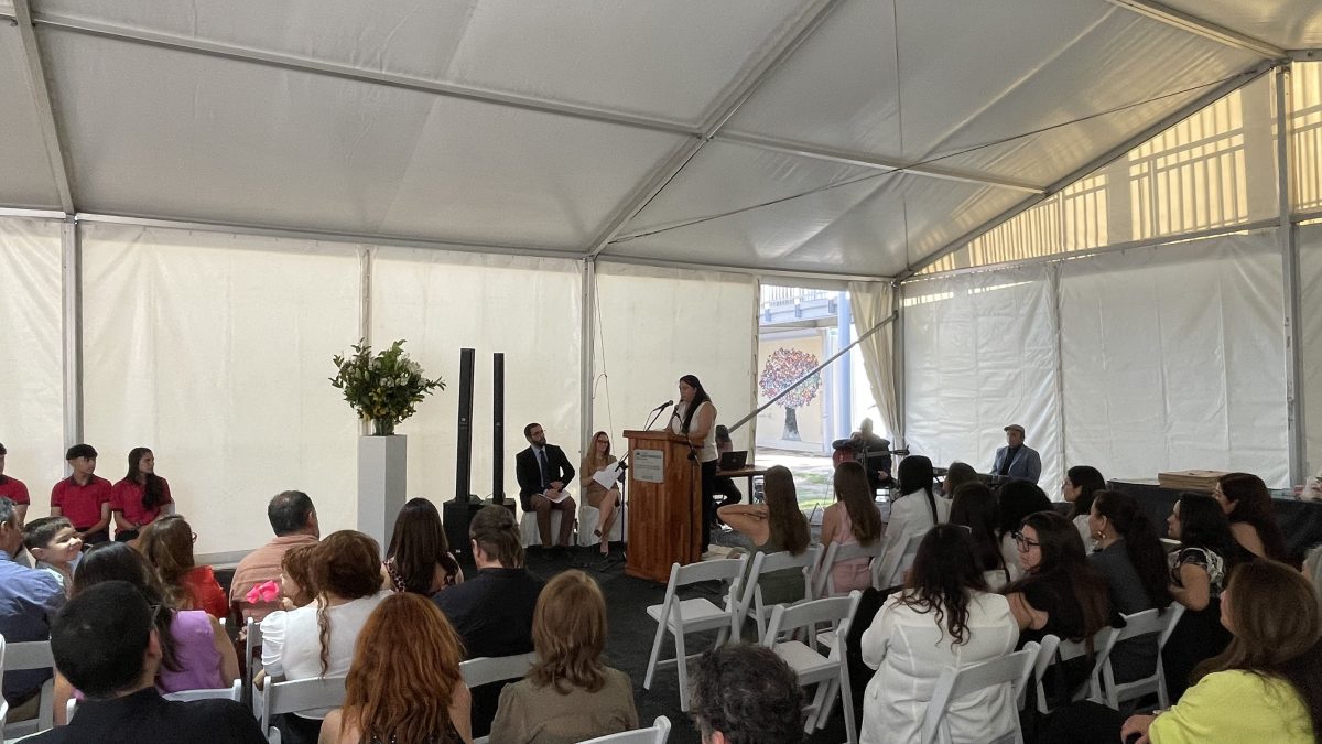 Licenciatura de IV medio