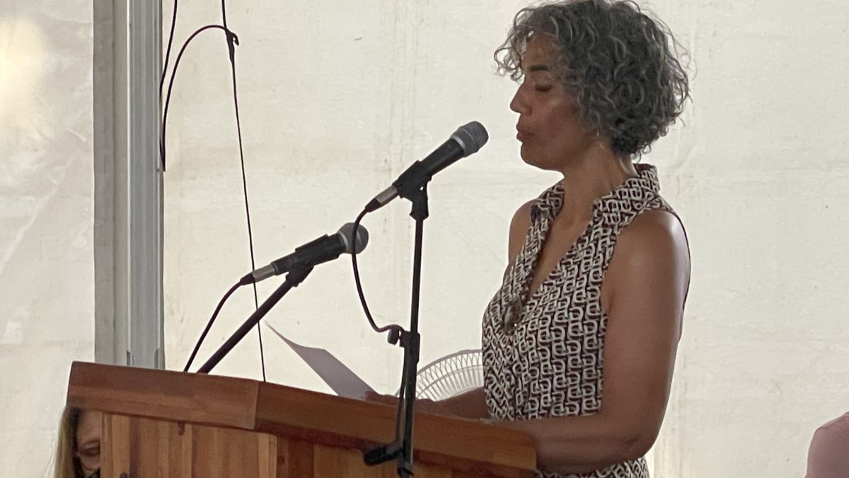 Licenciatura de IV medio