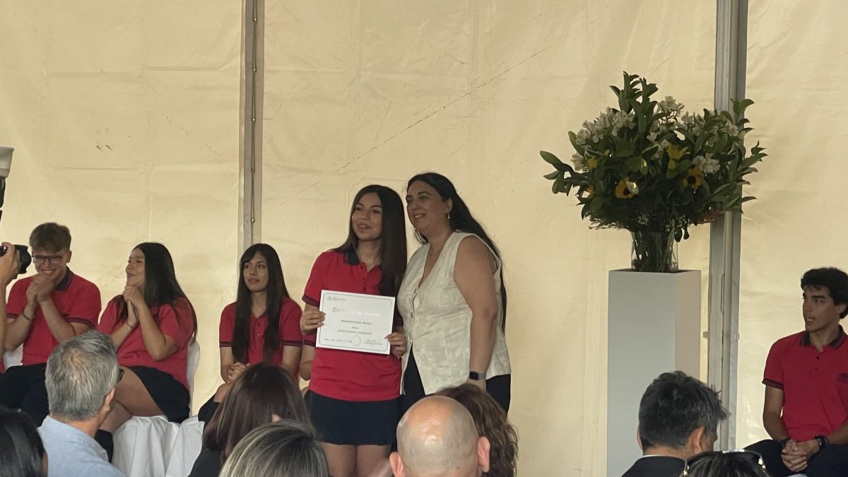 Licenciatura de IV medio