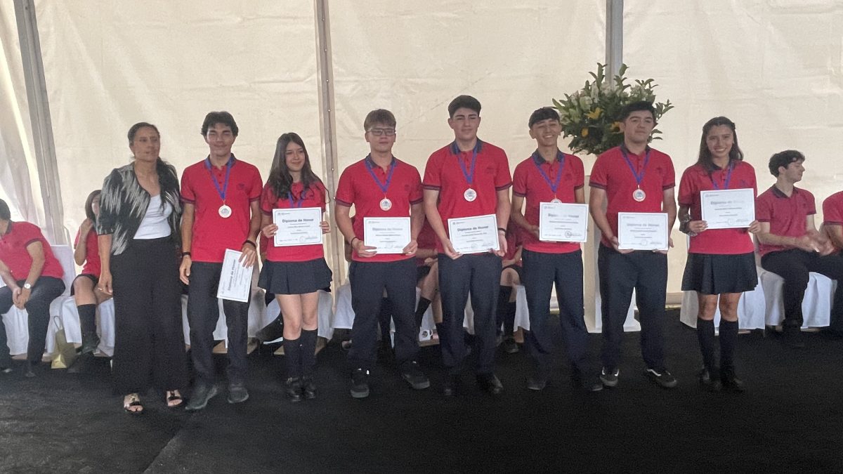 Licenciatura de IV medio