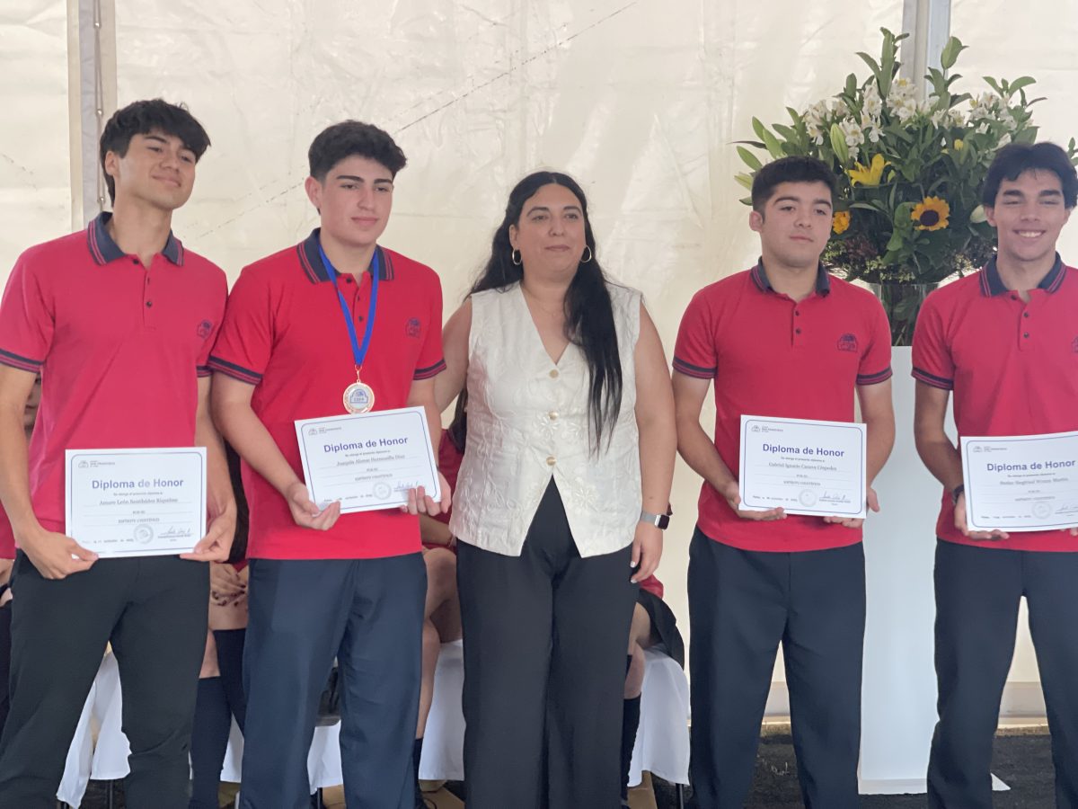 Licenciatura de IV medio