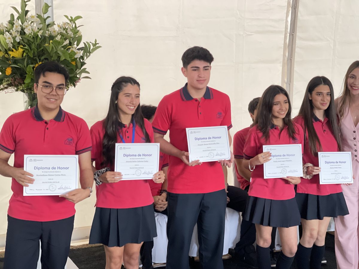 Licenciatura de IV medio