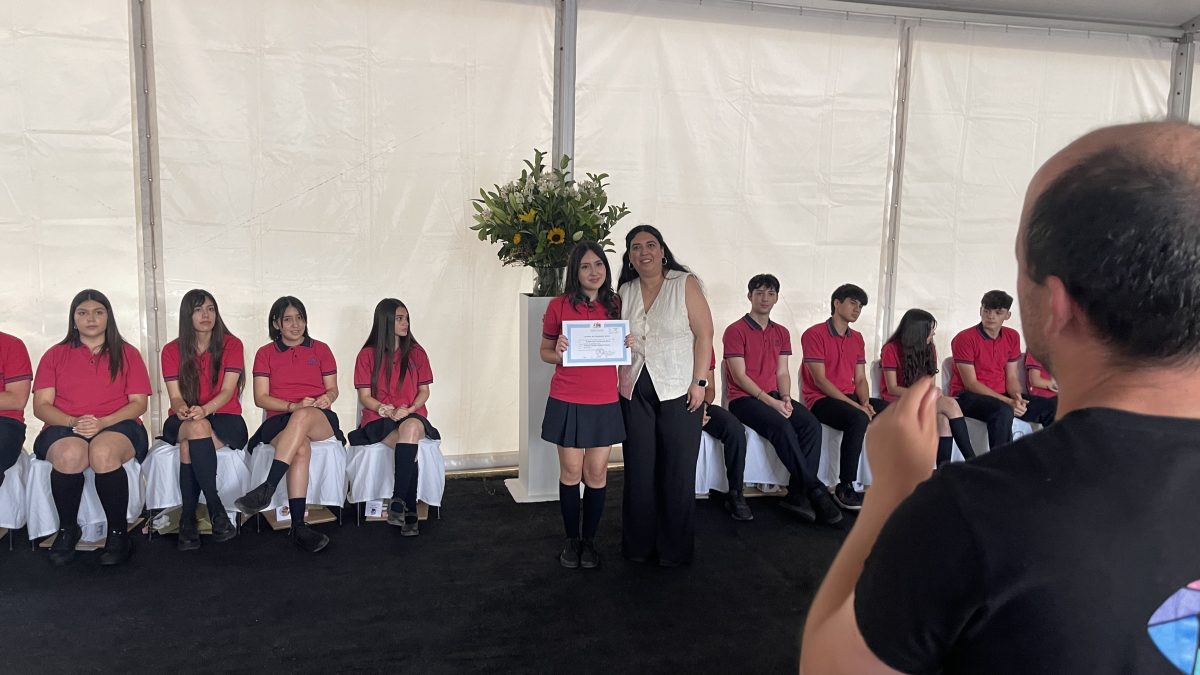 Licenciatura de IV medio