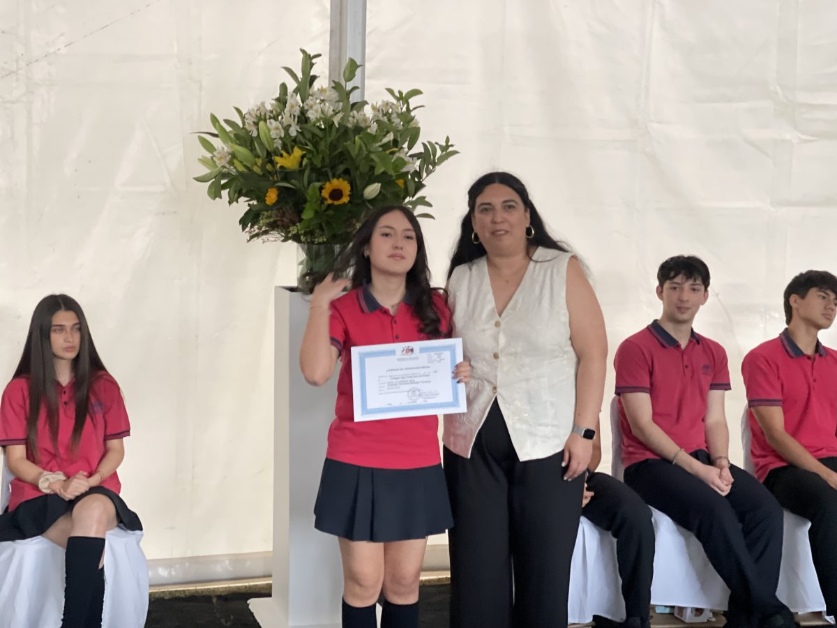 Licenciatura de IV medio