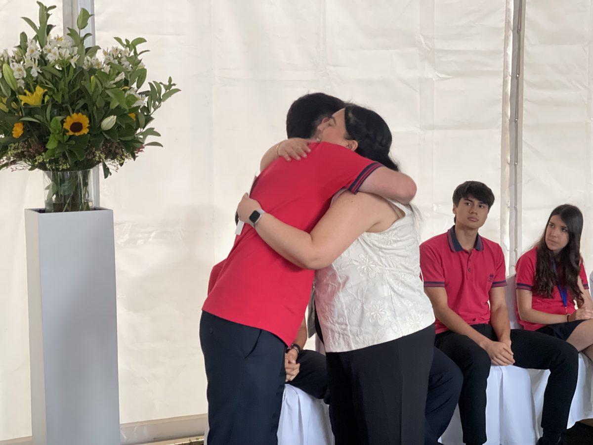 Licenciatura de IV medio