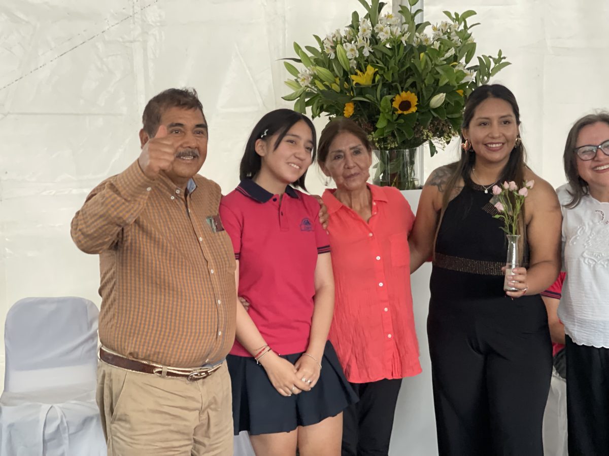 Licenciatura de IV medio