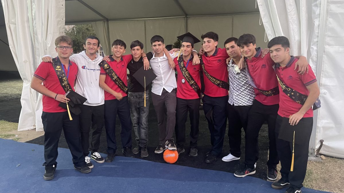 Licenciatura de IV medio