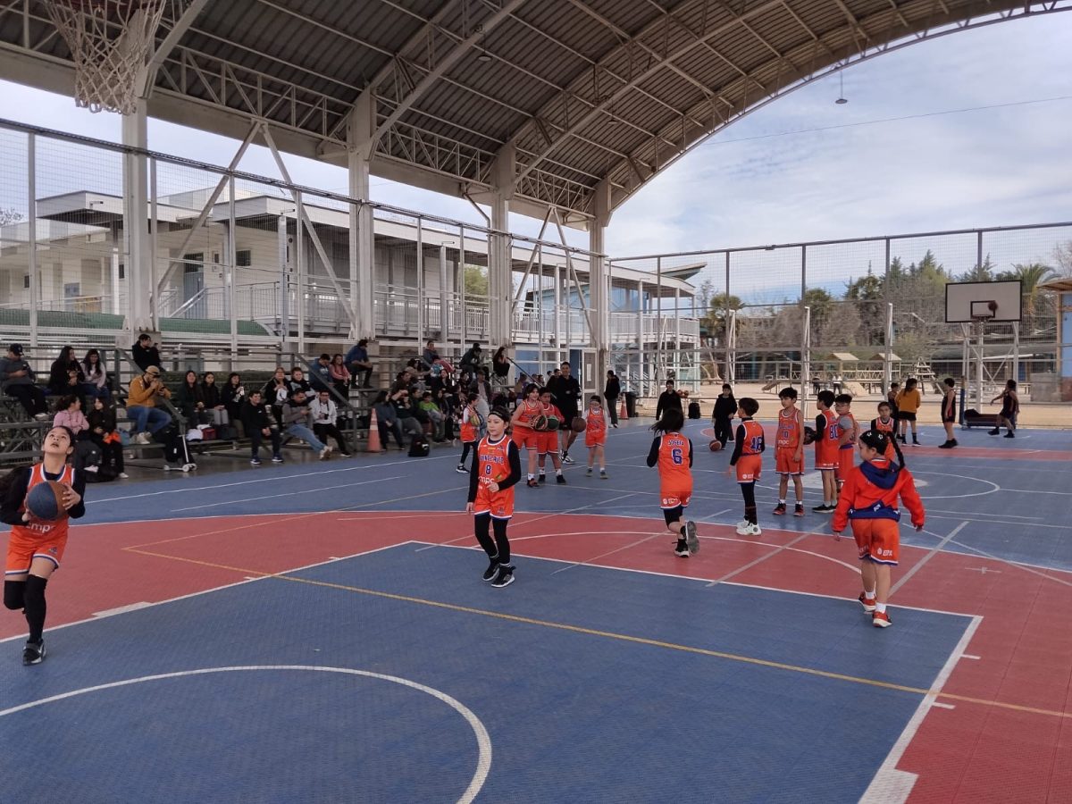 Encuentro de Básquetbol U9 y U11 reunió a estudiantes y clubes invitados