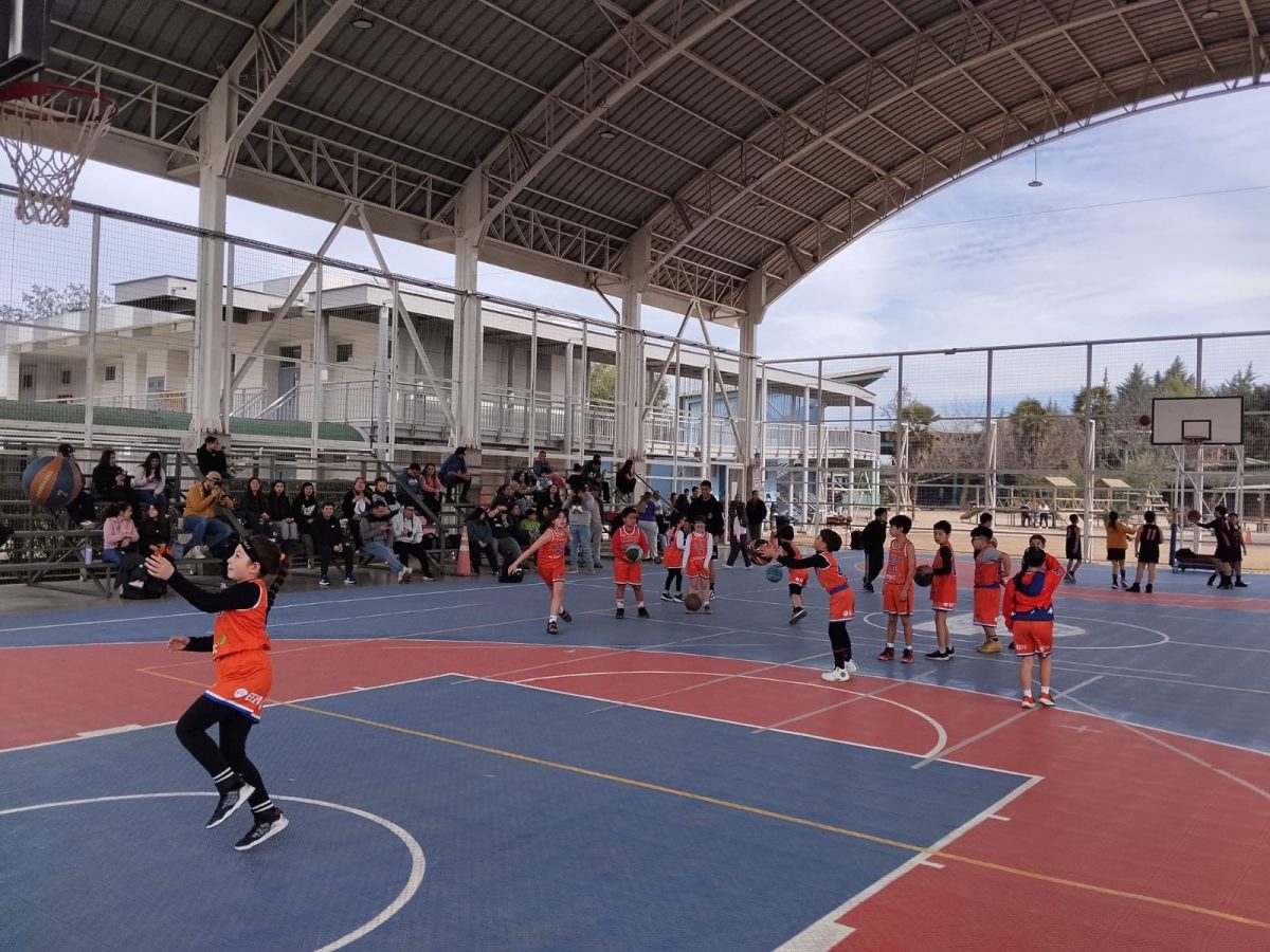 Encuentro de Básquetbol U9 y U11 reunió a estudiantes y clubes invitados